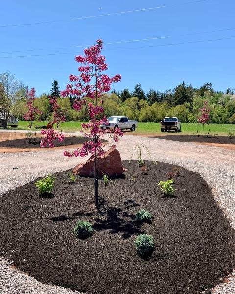 Spruce Grove Landscaping
