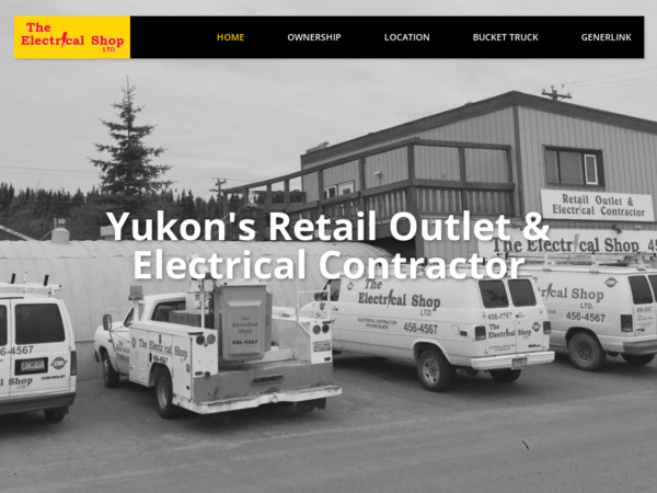 The Electrical Shop