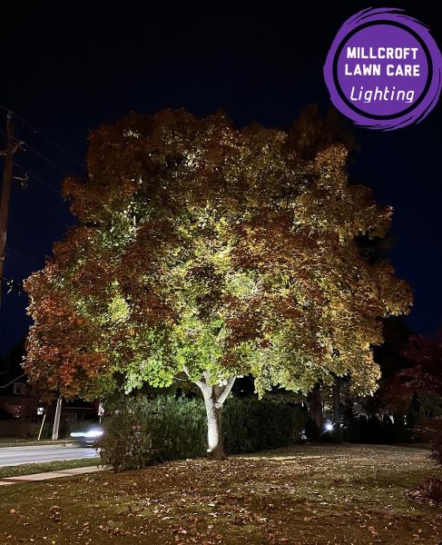Millcroft Lawn Care