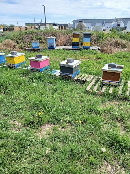 Honeybee Landscape Designs Inc.