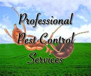 Elgin Pest Control