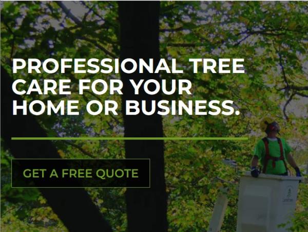 Lanktree Tree Services