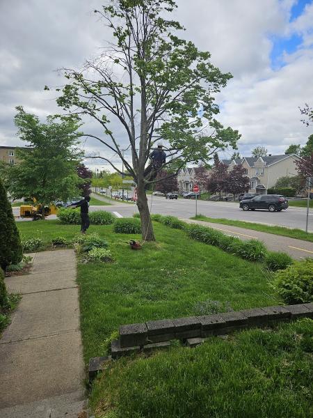 Québec Arboricole