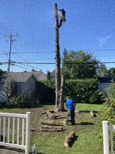 Québec Arboricole