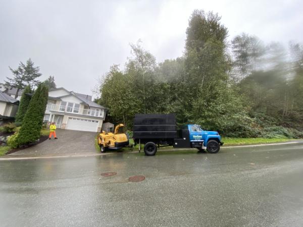 Horizon Tree Services