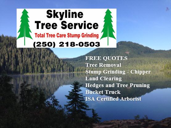 Skyline Tree Service
