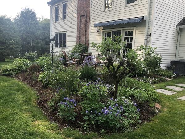 Busybee Gardening