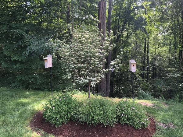 Busybee Gardening