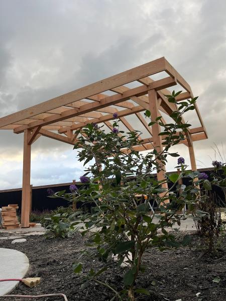 Black Spruce Construction