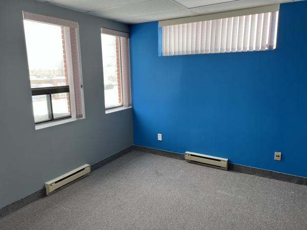 Ottawa House Painters