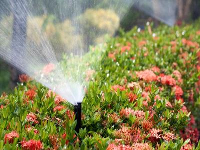 Waterlife Irrigation