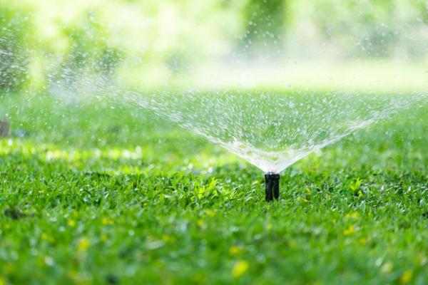 Waterlife Irrigation