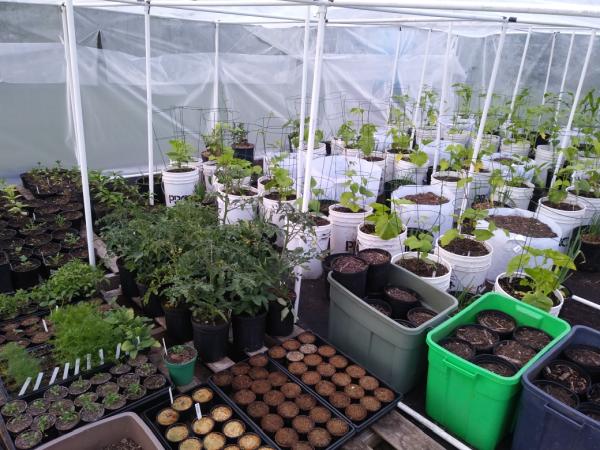 Grown Home Garden Solutions