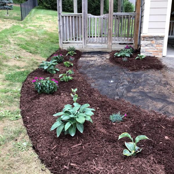Miss Muskoka Landscapes