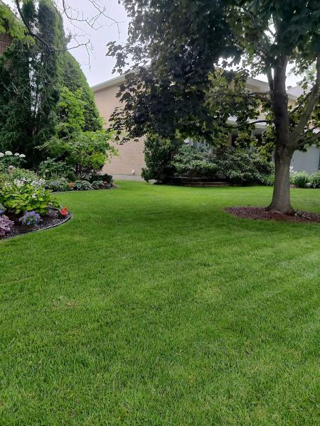 Nutri-Lawn Ottawa Ecology Friendly Lawn Care