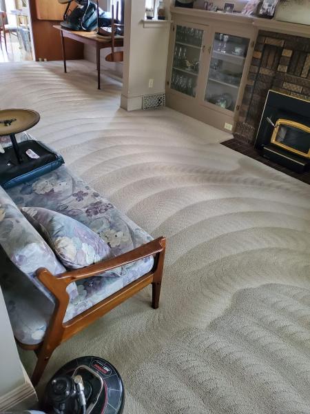 FON Pro-Carpet & Upholstery Cleaning Services