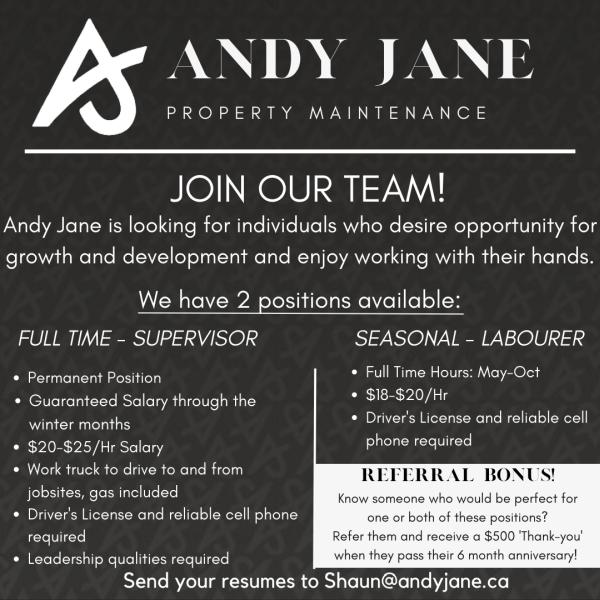 Andy Jane Property Maintenance