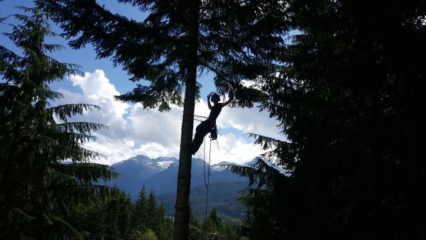 Windfirm Tree Services Ltd