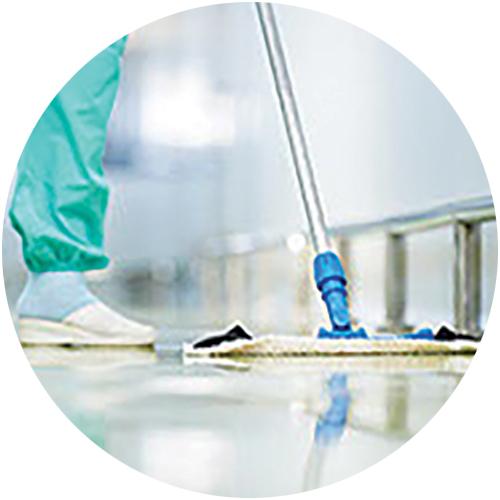 Ishine Cleaning and Maintenance