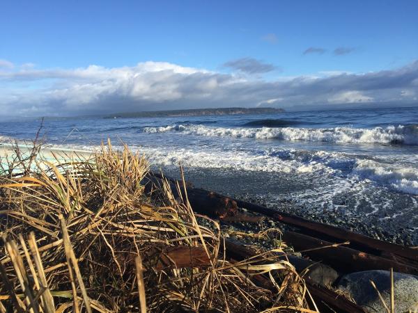 Shoreline Real Estate Team Royal Lepage Advance Realty