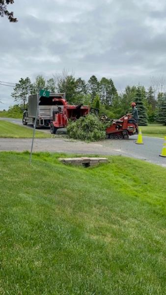 CBL Tree Service