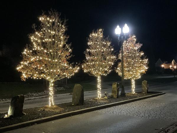 Christmas Decor Brantford