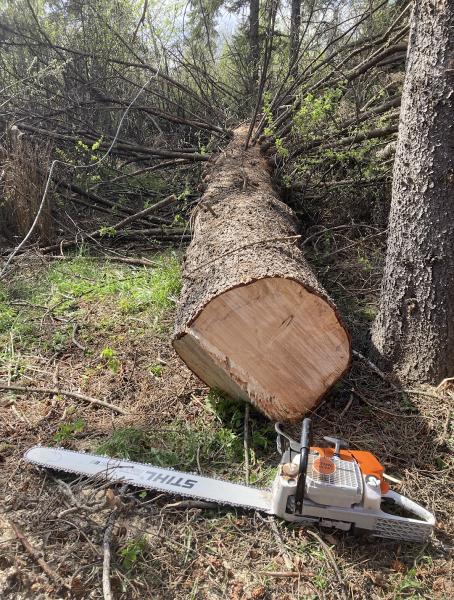 Boreal Tree Service