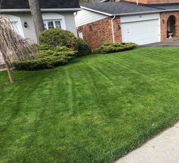 Precision Mowing