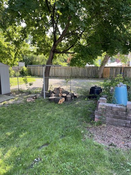 Guardian Tree Systems Inc