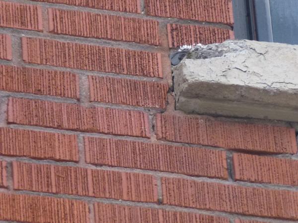 Home Inspector Property Inspections