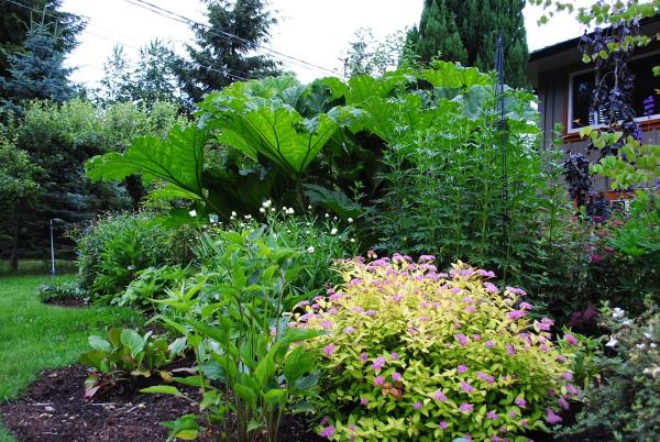 The Sharp Design Landscape Group Ltd.