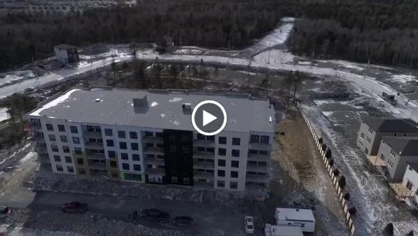 Totally Electric Limited