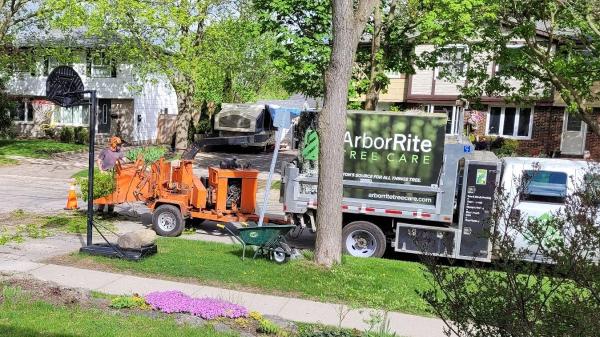 Arborrite Tree Care