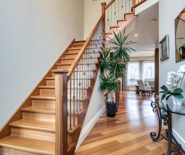 George Dmitrovic & Vince Dmitrovic