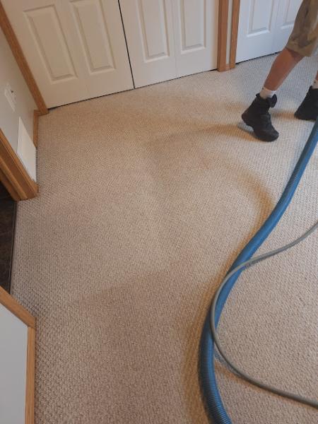 Action Carpet Cleaning Solutions