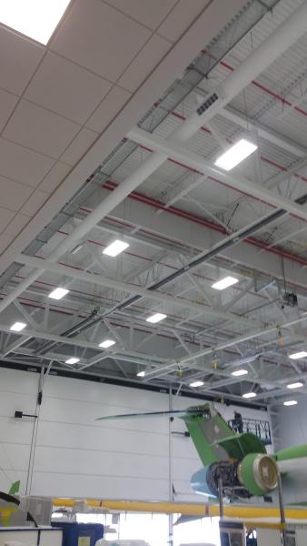 Champion Electric Ltd