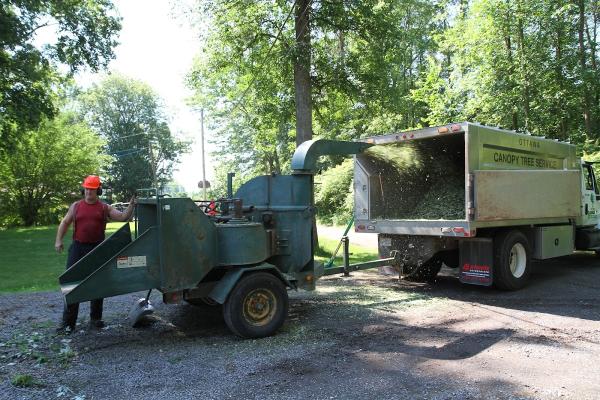 Ottawa Canopy Tree Service