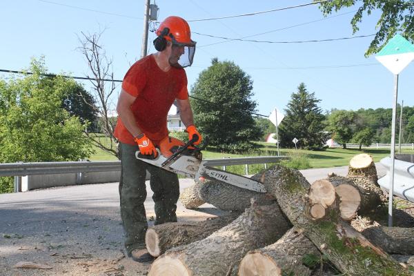 Ottawa Canopy Tree Service