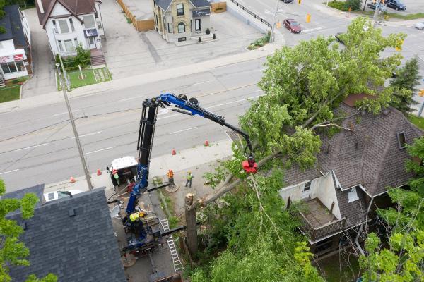 Florapine Tree Service Inc.