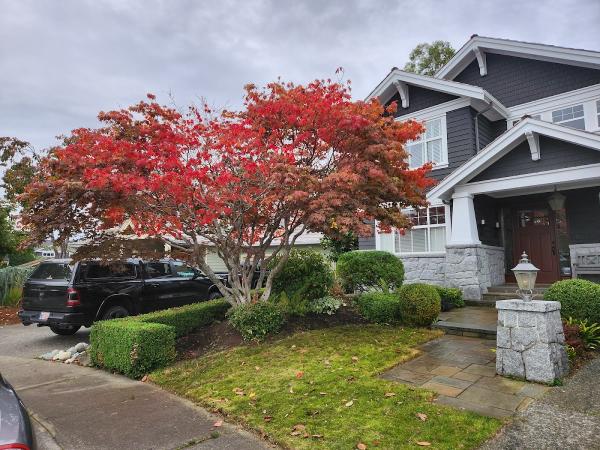 Fairytale Landscaping and Drainage