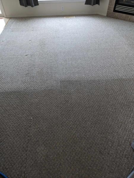 Beyond Carpet Cleaning