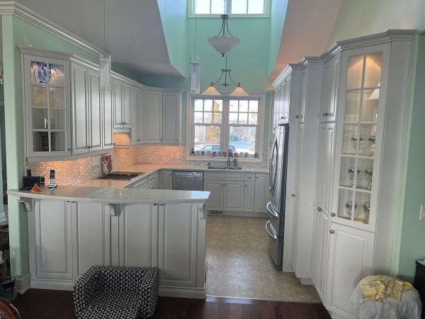 Nine Lives Custom Refinishing