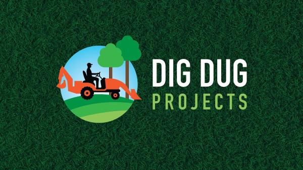 Dig Dug Projects