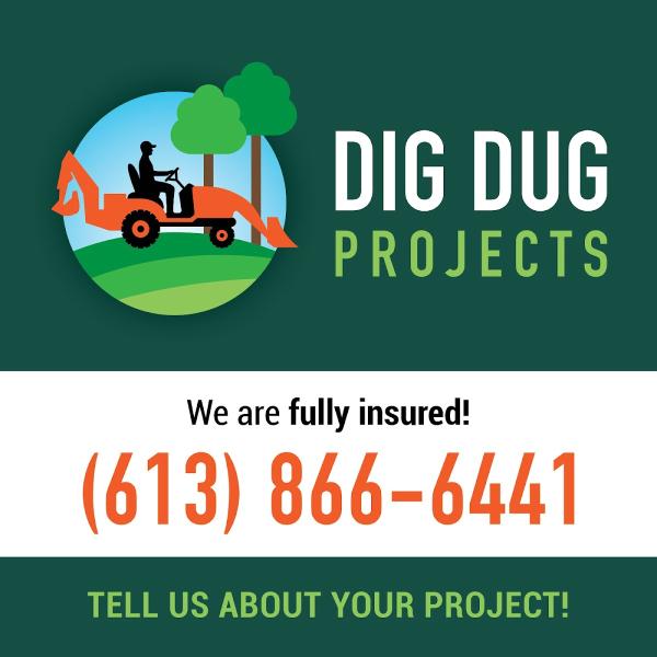 Dig Dug Projects