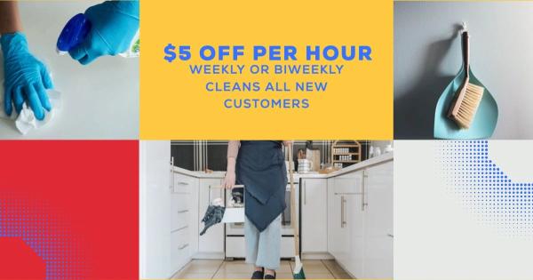 Mighty Maids Inc. Cleaning Services