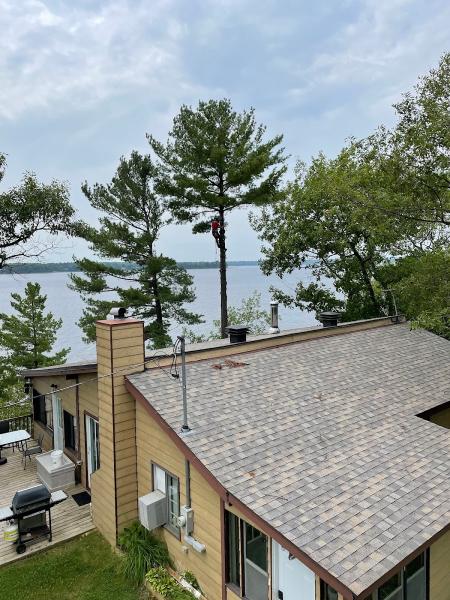 Custom Tree Service