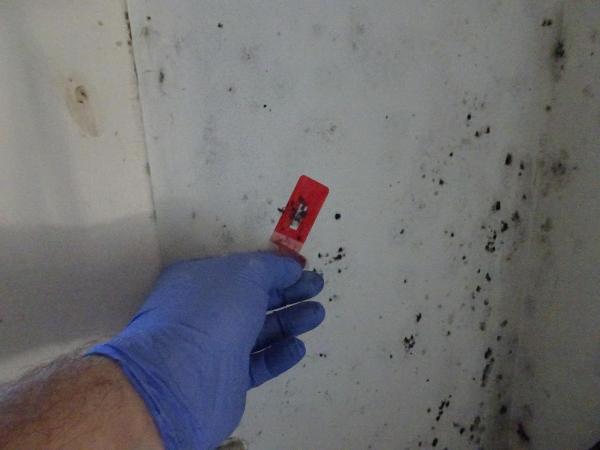 Inch By Inch Inspections