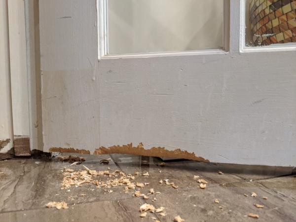 B.b.p.p. Pest Control