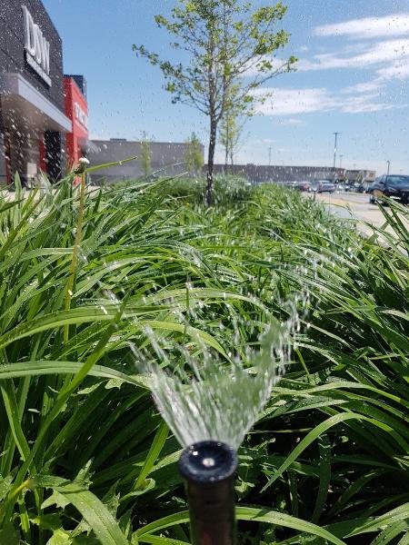 Complete Properties Ontario In-Ground Sprinklers/Outdoor Lighting