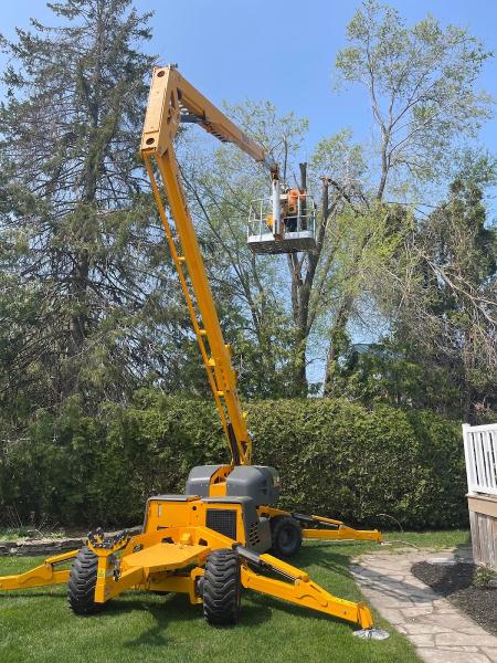 Gallant Tree Services